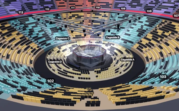 Octágono de MMA en 3D